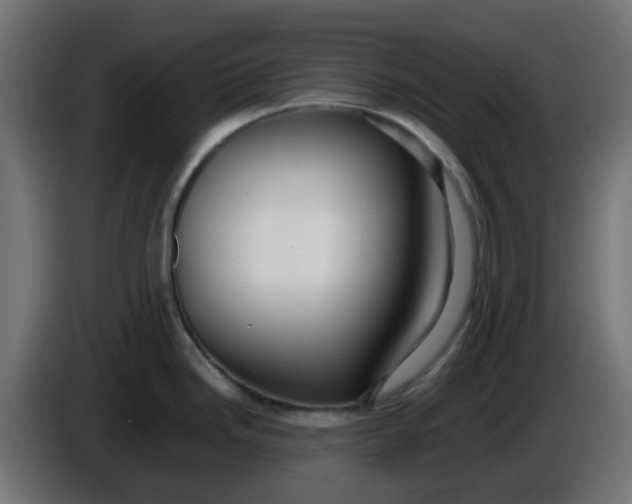 X0000086041246200704131928