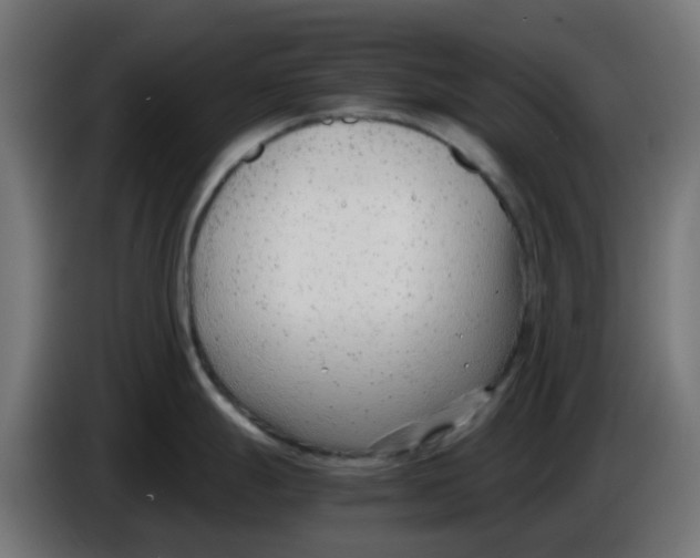 X0000086041247200704131928