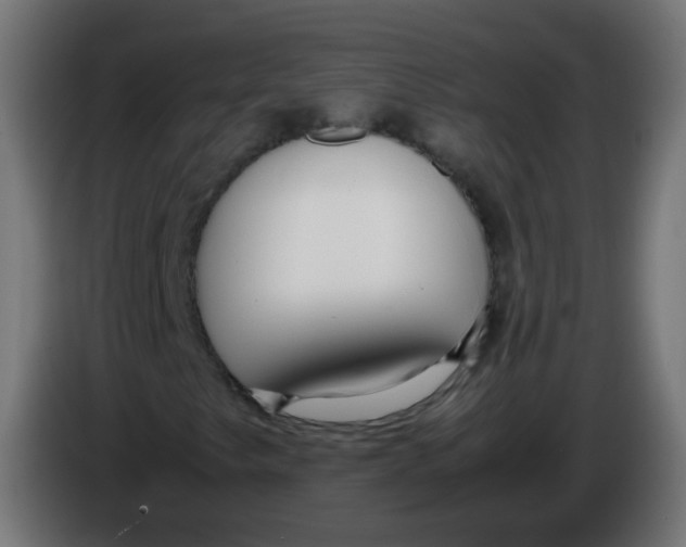 X0000086041249200704131927