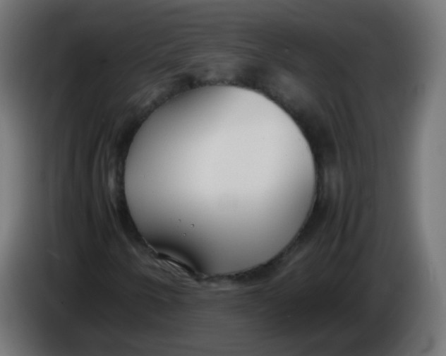 X0000086041250200704131927