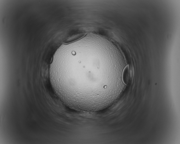 X0000086041251200704131927