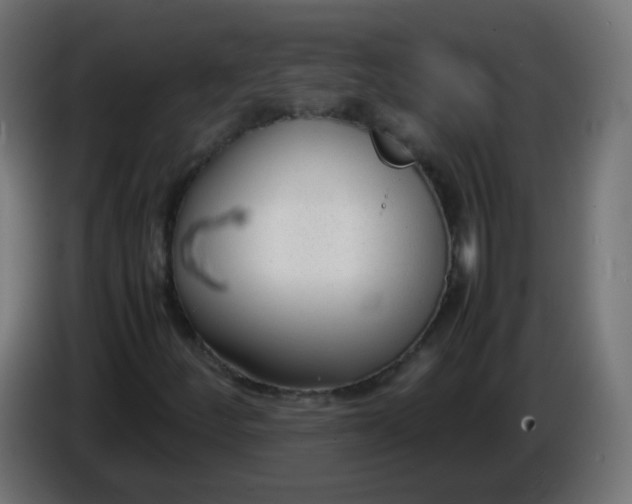 X0000086041252200704131927