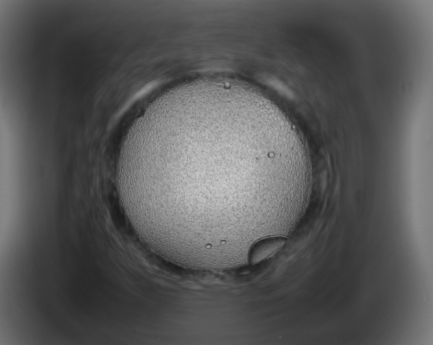 X0000086041255200704131927