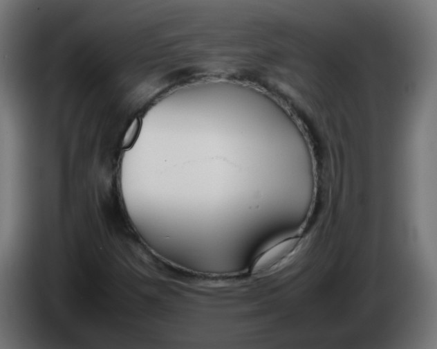 X0000086041257200704131927
