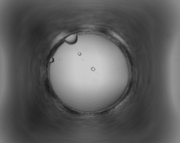 X0000086041259200704131927