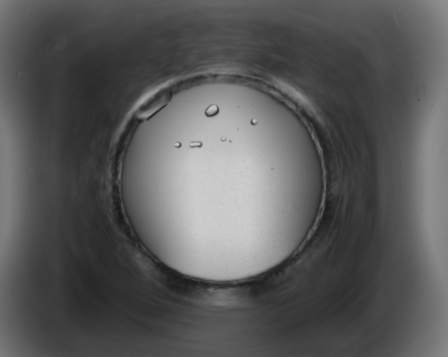 X0000086041264200704131927