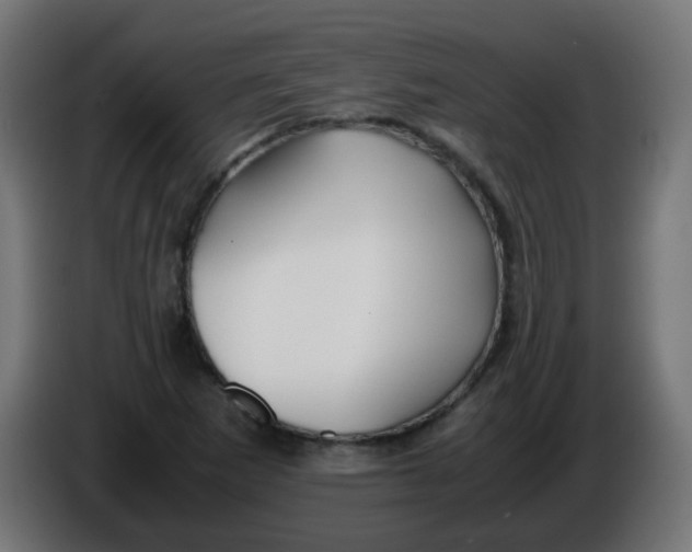 X0000086041265200704131927