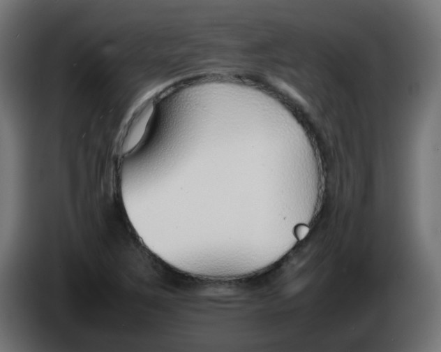 X0000086041267200704131927