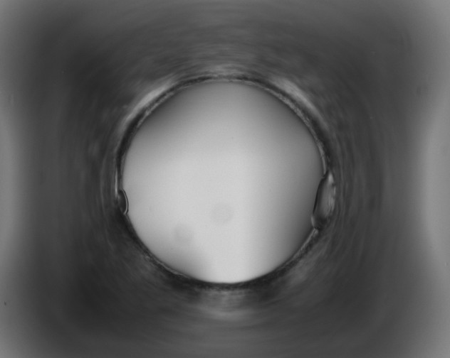X0000086041269200704131927