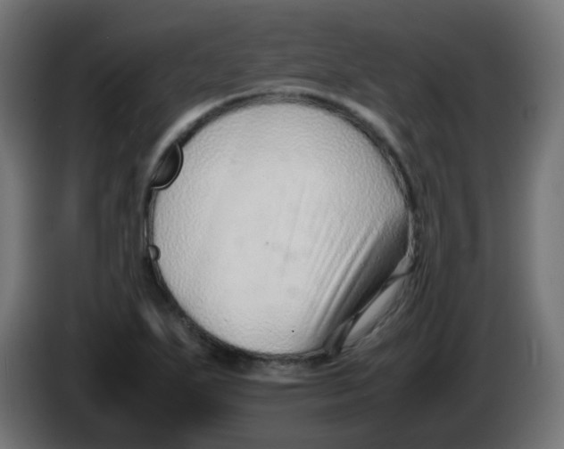 X0000086041271200704131927