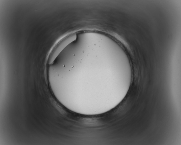 X0000086041272200704131927