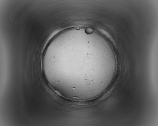 X0000086041275200704131927