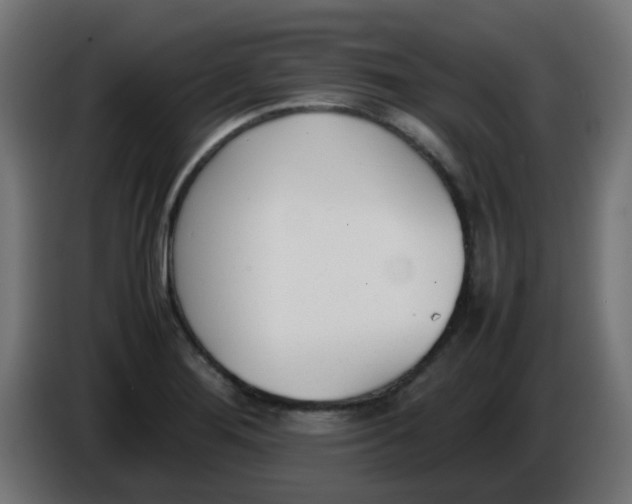 X0000086041276200704131927