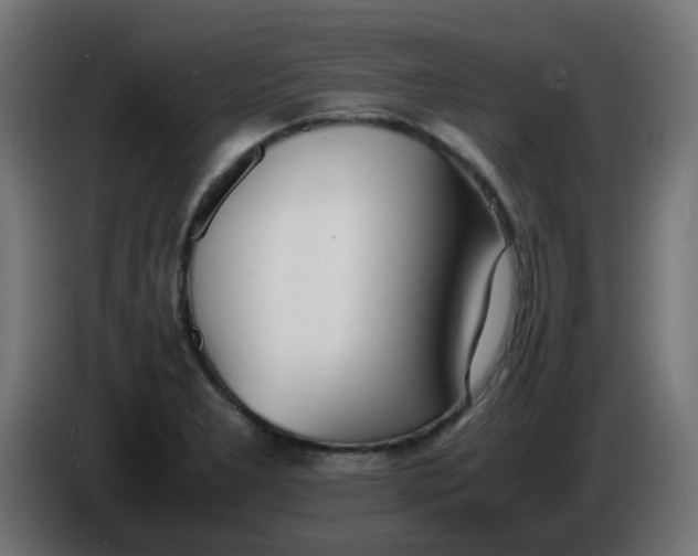 X0000086041277200704131927