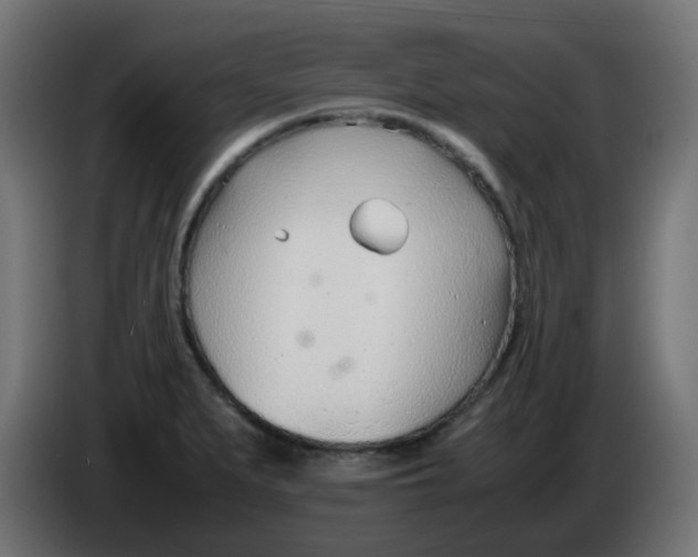 X0000086041279200704131927