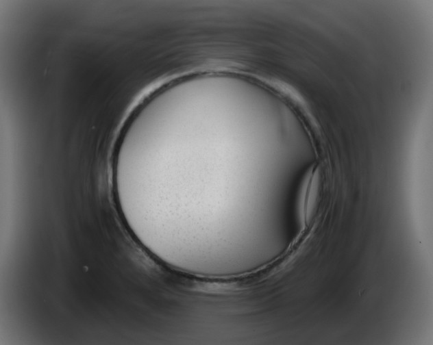 X0000086041280200704131927