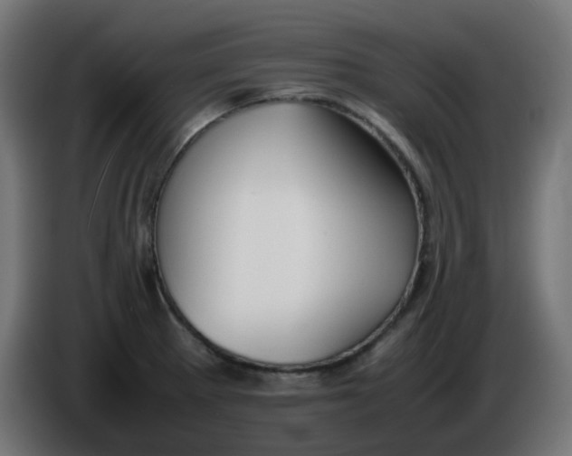 X0000086041281200704131927
