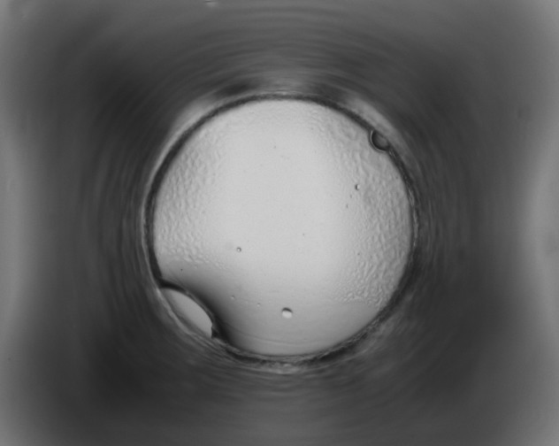 X0000086041283200704131927