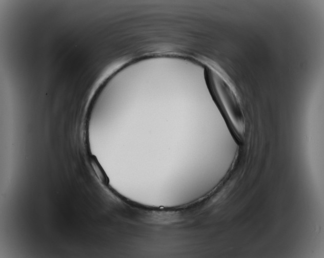 X0000086041285200704131927
