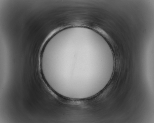 X0000086041286200704131927