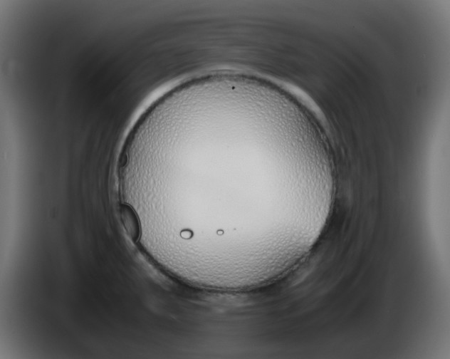 X0000086041287200704131926