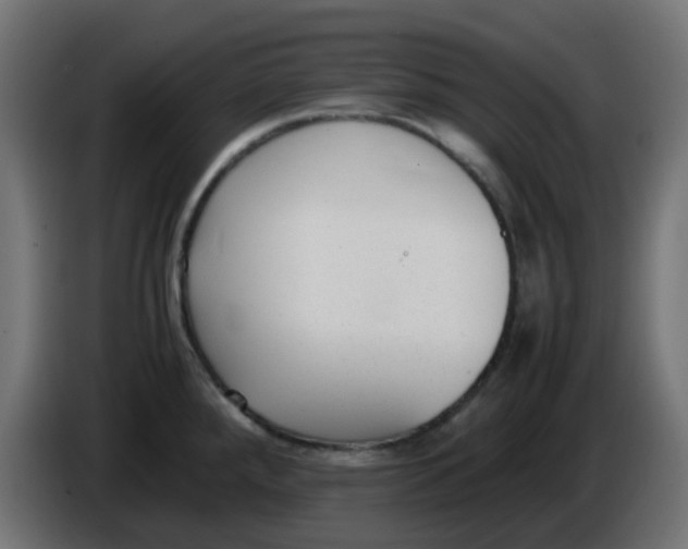 X0000086041288200704131926