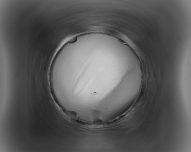 X0000086041291200704131926