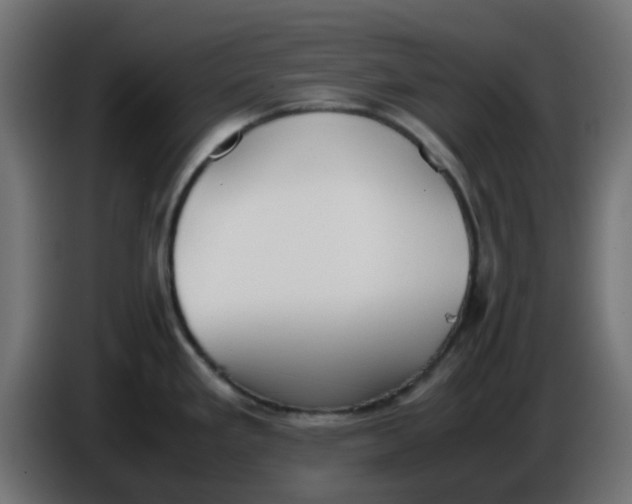 X0000086041293200704131926