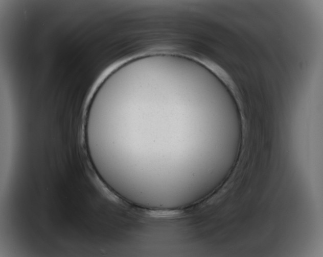 X0000086041296200704131926