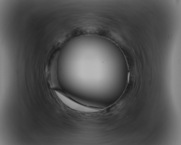 X0000086041298200704131926