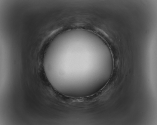 X0000086041303200704131926