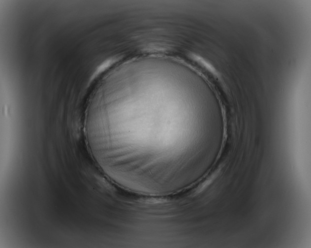 X0000086041306200704131926