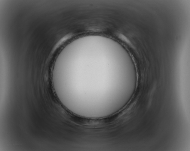 X0000086041307200704131926