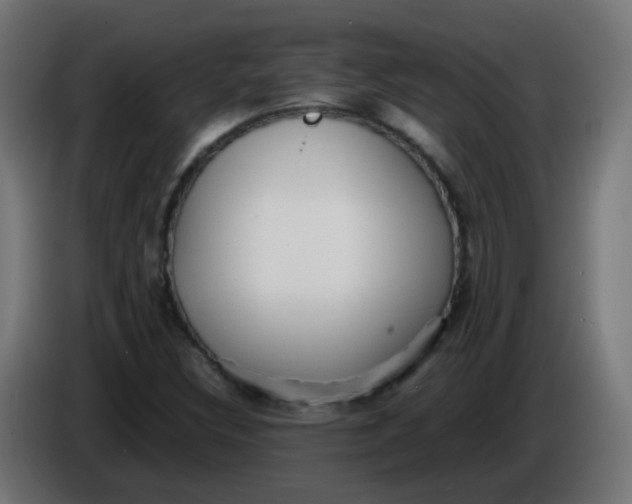 X0000086041308200704131926