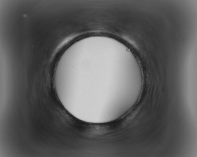 X0000086041311200704131926