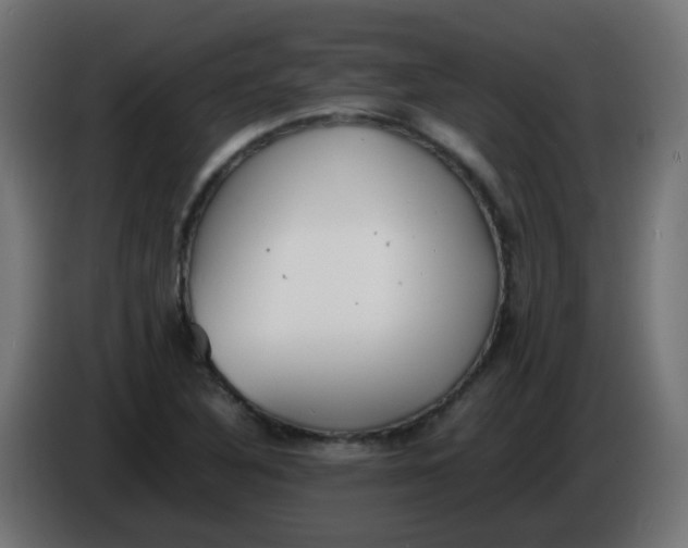 X0000086041316200704131926
