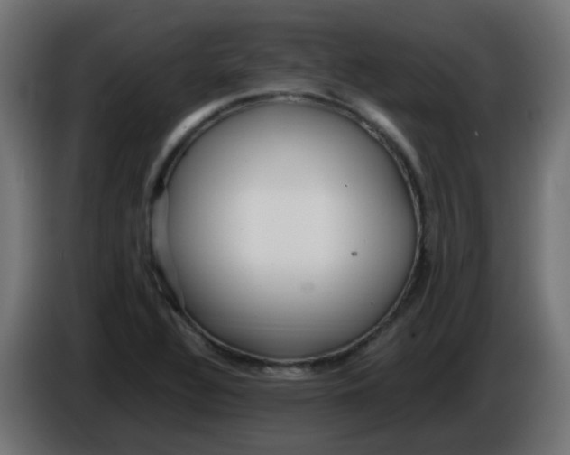 X0000086041320200704131926