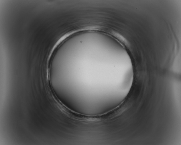 X0000086041324200704131926