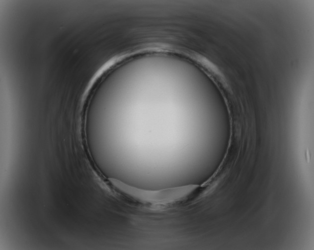 X0000086041326200704131926