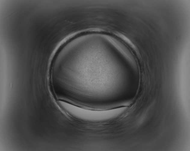 X0000086041327200704131926