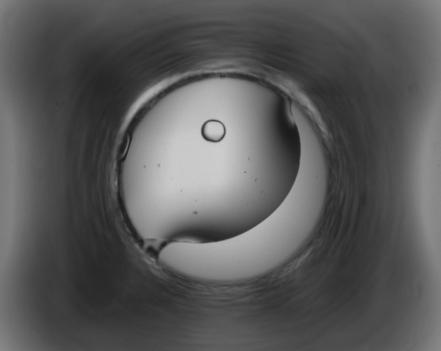X0000086041328200704131926