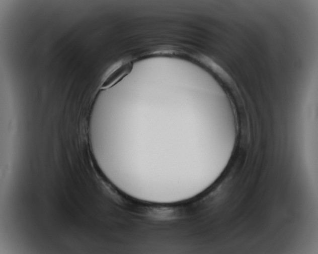 X0000086041329200704131926
