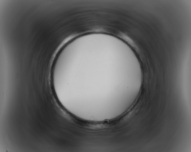 X0000086041331200704131926