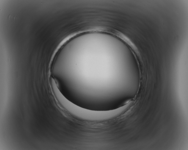 X0000086041332200704131926