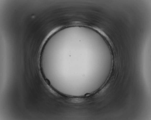 X0000086041333200704131926