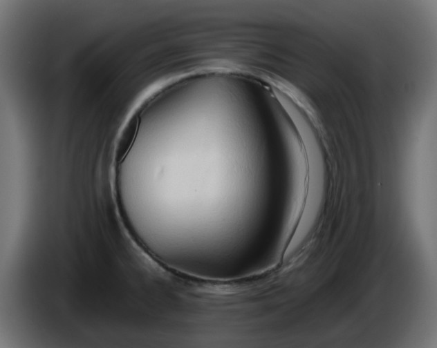 X0000086041334200704131926