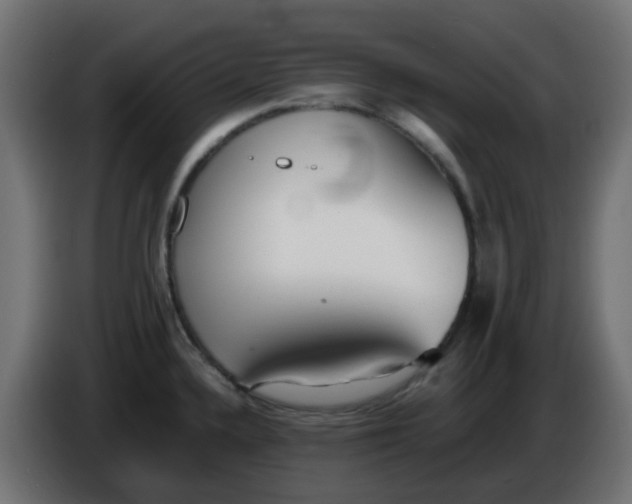 X0000086041336200704131926