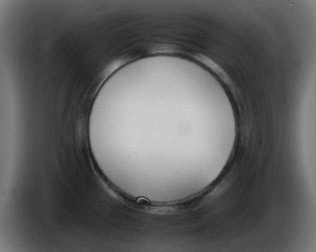 X0000086041337200704131926