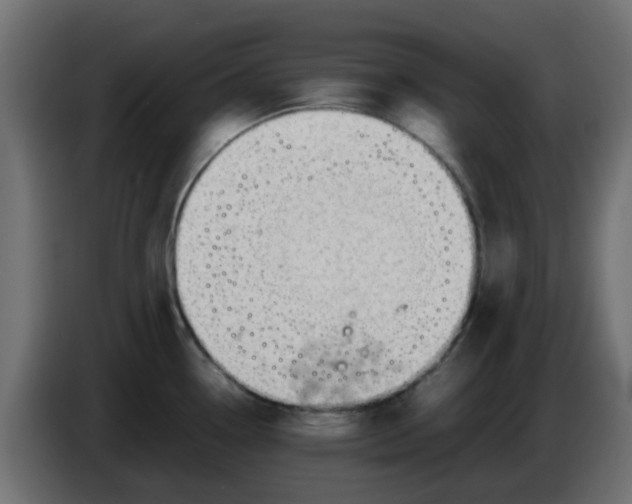 X0000086041338200704131926