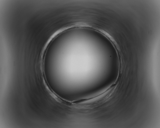X0000086041342200704131926